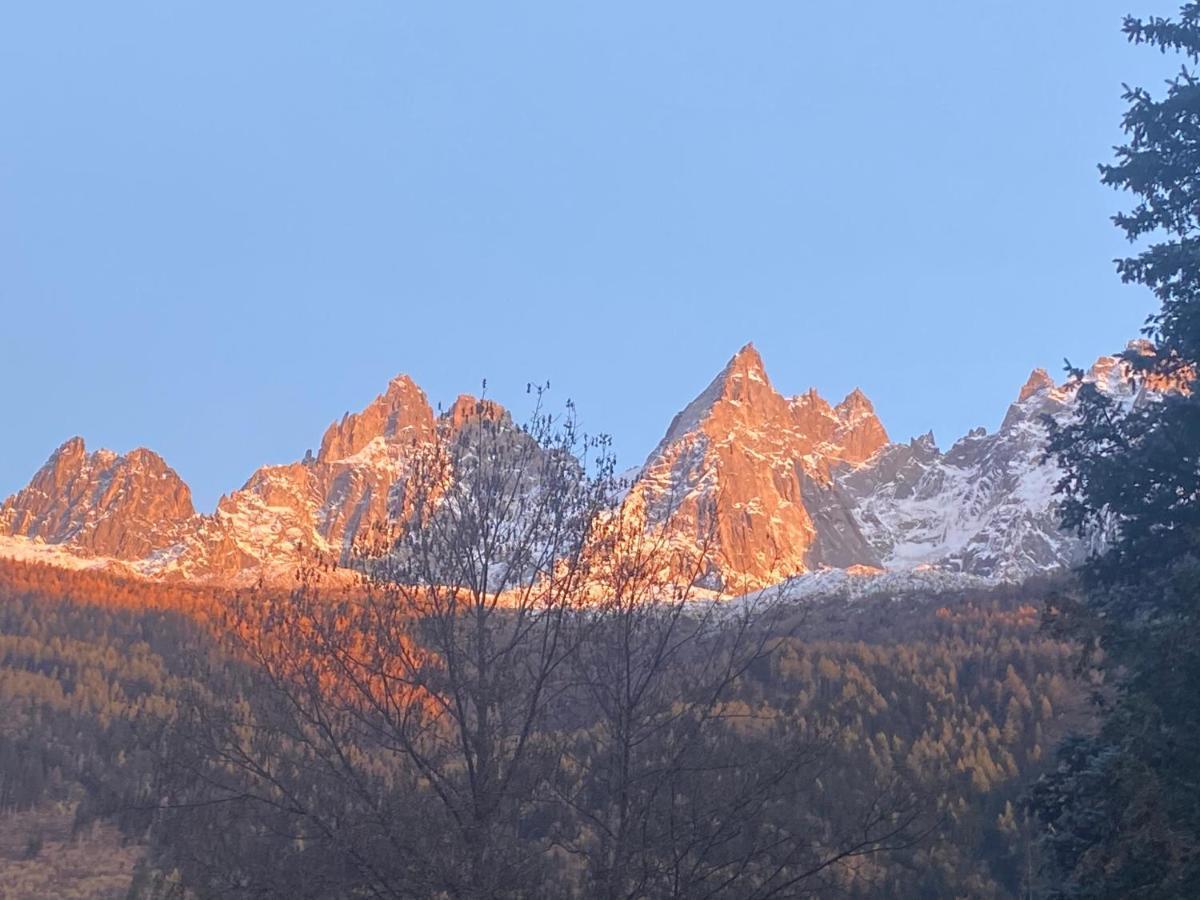 דירות Chamonix - Majestic Vue Mont Blanc מראה חיצוני תמונה