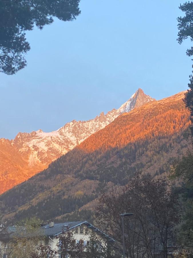דירות Chamonix - Majestic Vue Mont Blanc מראה חיצוני תמונה